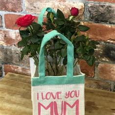 Mother&#39;s Day Plant in a Bag